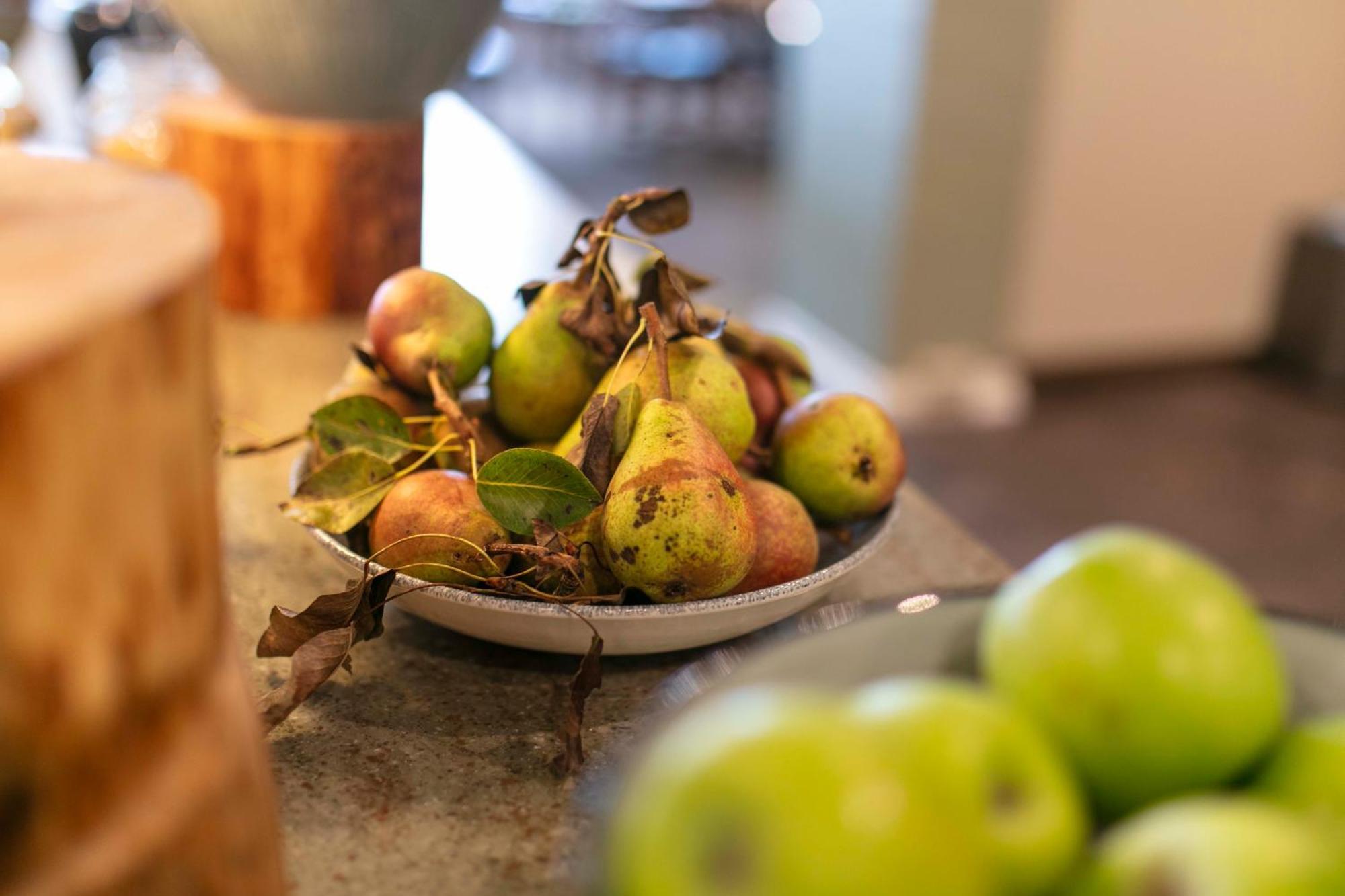 Fjelsted Skov Hotel & Konference Ejby  المظهر الخارجي الصورة