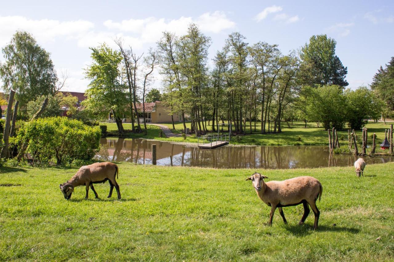 Ejby  Fjelsted Skov Hotel & Konference المظهر الخارجي الصورة